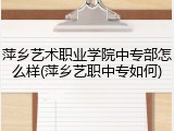 萍乡艺术职业学院中专部怎么样(萍乡艺职中专如何)