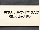 重庆电力高等专科学校人数(重庆电专人数)