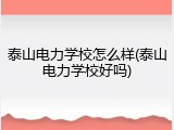 泰山电力学校怎么样(泰山电力学校好吗)