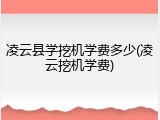 凌云县学挖机学费多少(凌云挖机学费)