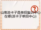 山南浪卡子县单招集训中心在哪(浪卡子单招中心)
