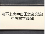 考不上高中出国怎么交流(中考留学咨询)