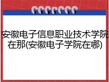 安徽电子信息职业技术学院在那(安徽电子学院在哪)