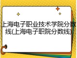上海电子职业技术学院分数线(上海电子职院分数线)