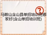 马鞍山含山县单招培训班哪家好(含山单招培训班)