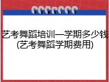艺考舞蹈培训一学期多少钱(艺考舞蹈学期费用)