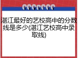 湛江最好的艺校高中的分数线是多少(湛江艺校高中录取线)