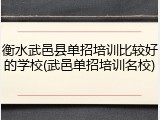 衡水武邑县单招培训比较好的学校(武邑单招培训名校)