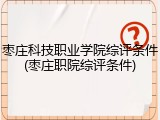 枣庄科技职业学院综评条件(枣庄职院综评条件)