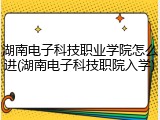 湖南电子科技职业学院怎么进(湖南电子科技职院入学)