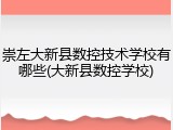 崇左大新县数控技术学校有哪些(大新县数控学校)