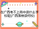 在广西考不上高中读什么学校呢(广西落榜读何校)