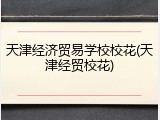 天津经济贸易学校校花(天津经贸校花)