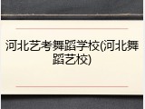 河北艺考舞蹈学校(河北舞蹈艺校)