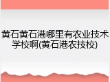 黄石黄石港哪里有农业技术学校啊(黄石港农技校)