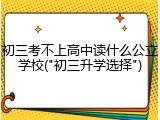 初三考不上高中读什么公立学校("初三升学选择")