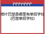 喀什巴楚县哪里有单招学校(巴楚单招学校)