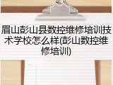 眉山彭山县数控维修培训技术学校怎么样(彭山数控维修培训)