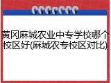黄冈麻城农业中专学校哪个校区好(麻城农专校区对比)
