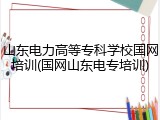 山东电力高等专科学校国网培训(国网山东电专培训)