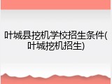 叶城县挖机学校招生条件(叶城挖机招生)
