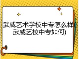 武威艺术学校中专怎么样(武威艺校中专如何)