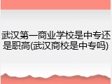 武汉第一商业学校是中专还是职高(武汉商校是中专吗)