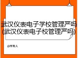 武汉仪表电子学校管理严吗(武汉仪表电子校管理严吗)
