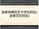 宜春有哪些艺术学校招生(宜春艺校招生)