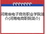 河南省电子商务职业学院简介(河南电商职院简介)