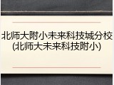 北师大附小未来科技城分校(北师大未来科技附小)
