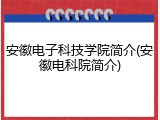 安徽电子科技学院简介(安徽电科院简介)