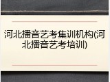 河北播音艺考集训机构(河北播音艺考培训)