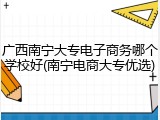 广西南宁大专电子商务哪个学校好(南宁电商大专优选)