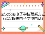 武汉仪表电子学校联系方式(武汉仪表电子学校电话)