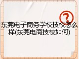 东莞电子商务学校技校怎么样(东莞电商技校如何)