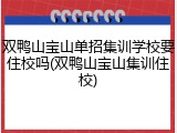 双鸭山宝山单招集训学校要住校吗(双鸭山宝山集训住校)