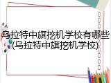 乌拉特中旗挖机学校有哪些(乌拉特中旗挖机学校)
