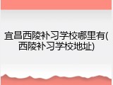 宜昌西陵补习学校哪里有(西陵补习学校地址)