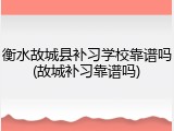 衡水故城县补习学校靠谱吗(故城补习靠谱吗)