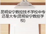 昆明安宁数控技术学校中专还是大专(昆明安宁数控学校)