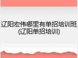 辽阳宏伟哪里有单招培训班(辽阳单招培训)