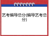 艺考编导总分(编导艺考总分)