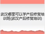 武汉哪里可以学产后修复培训班(武汉产后修复培训)