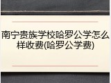 南宁贵族学校哈罗公学怎么样收费(哈罗公学费)