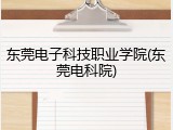 东莞电子科技职业学院(东莞电科院)