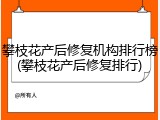 攀枝花产后修复机构排行榜(攀枝花产后修复排行)