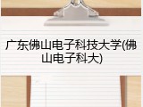 广东佛山电子科技大学(佛山电子科大)