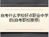 自考什么学校好点职业中学的(自考职校推荐)