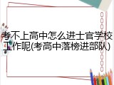 考不上高中怎么进士官学校工作呢(考高中落榜进部队)